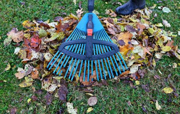 istock raking fallen leaves in back garden october 22 2022 1436051115