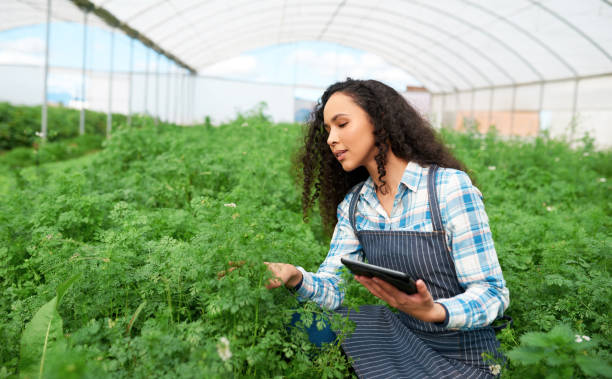 istock Farmer, sustainability and digital tablet with online checklist for plant development and growth in a greenhouse. Woman farm worker monitor plants in ecology garden with tech in agriculture industry 1436051996
