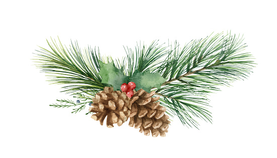 istock Watercolor vector Christmas arrangement with cones and pine branch. Holiday decor for postcard, cover, flyer, cards design, New year invitations, wedding.  Isolated on white background. 1436052102
