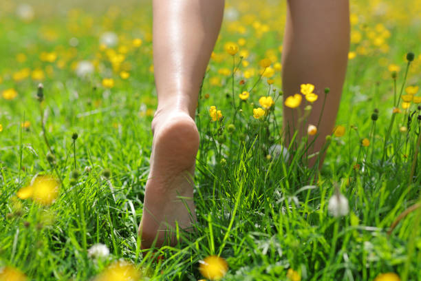 풀밭 위를 걷는 맨발의 여자의 클로즈업 - 20s adult barefoot caucasian 뉴스 사진 이미지