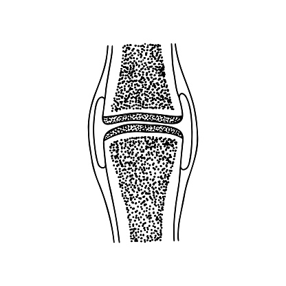 Diagram Of The Structure Of A Human Joint Stock Illustration Biology Diagrams