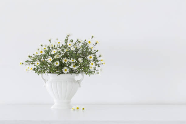 istock white flowers in white ceramic vase in white interior 1436062340