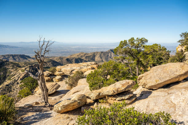 istock An overlooking view of Tucson, Arizona 1436064865