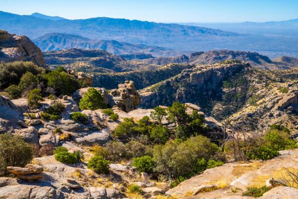 istock An overlooking view of Tucson, Arizona 1436064970