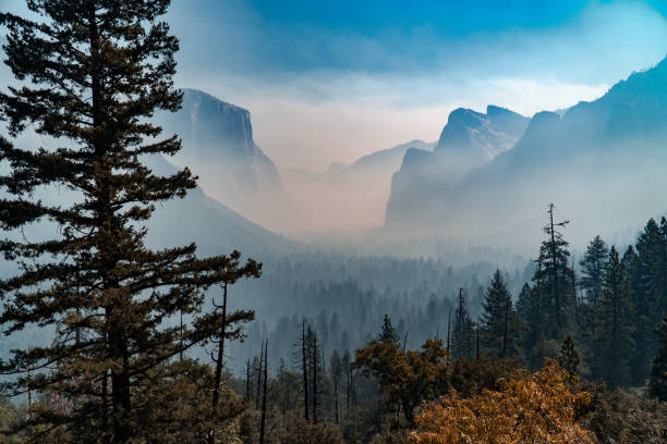 istock Foggy Yosemite Valley 1436068961