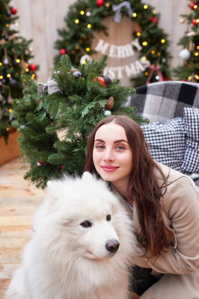 クリスマスツリーの背景に若い女性と屋外の白いサモエド犬。新年の庭の装飾 - 3495 ストックフォトと画像
