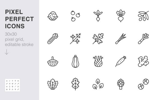 stockillustraties, clipart, cartoons en iconen met vegetables line icon set. kale, spinach, pumpkin, cherry tomato, cauliflower, beetroot, daikon minimal vector illustration. simple outline sign for veggies. 30x30 pixel perfect, editable stroke - groene salade