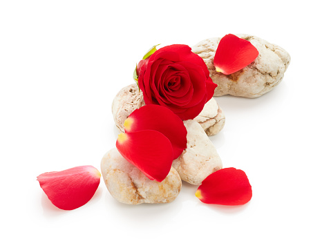 Petals of red roses. Spa arrangement with stones isolated on white background. Zen composition