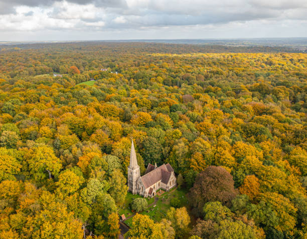 秋に囲まれた教会。 - forest autumn aerial view leaf ストックフォトと画像