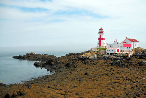 east quoddy lighthouse aka head harbor light - 썰물 또는 그 근처에서만 육지로 접근 가능, 캄포벨로 섬, nb, 캐나다 - lighthouse local landmark blue canada 뉴스 사진 이미지