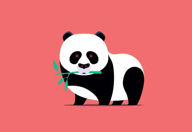 Vector illustration of panda holding bamboo branch