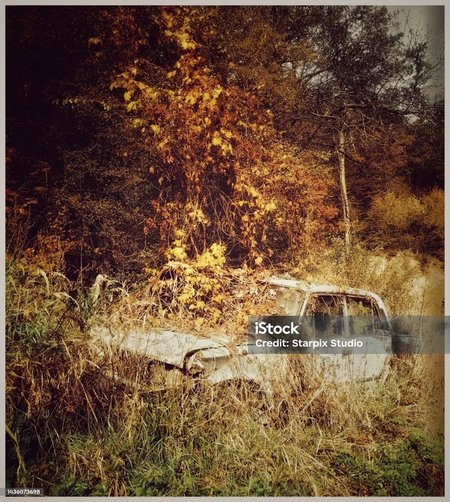 Rusty Fiat 125p in a bush Old rusty Fiat 125p in a bush Abandoned Stock Photo