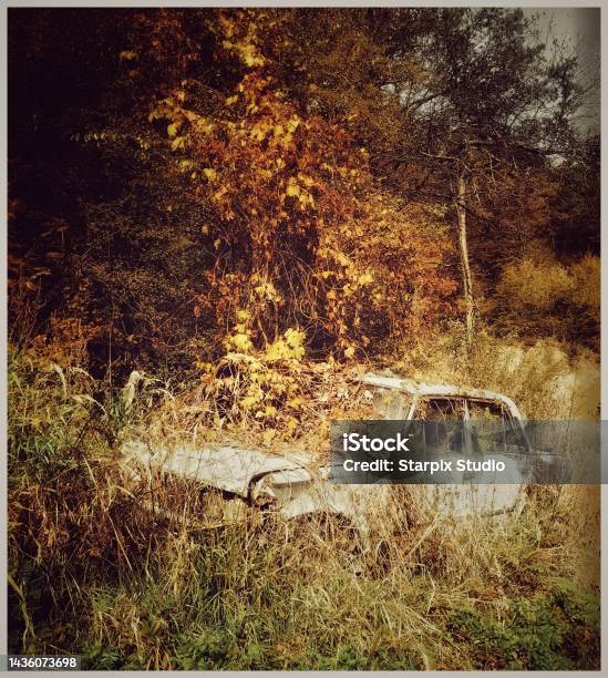 Rusty Fiat 125p In A Bush Stock Photo - Download Image Now - Abandoned, Car, Color Image