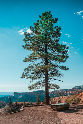 Paysage du Canyon de Bryce.