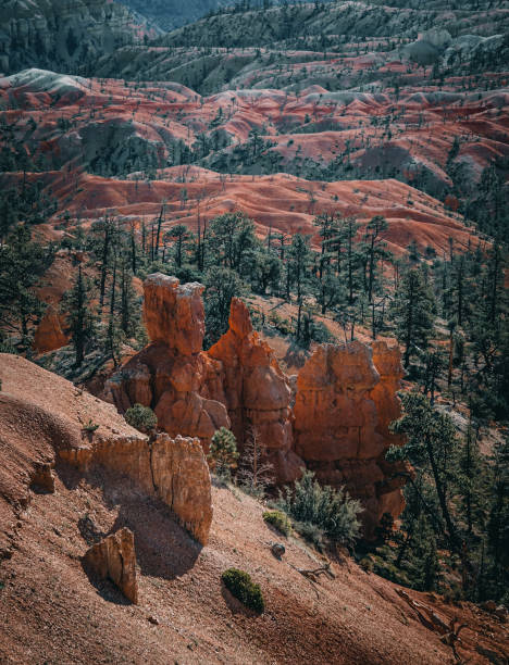 istock Bryce Canyon, montage et paysage 1436075508