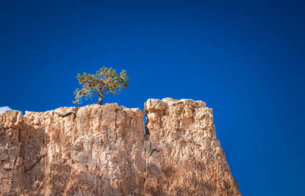 istock Bryce Canyon, montage et paysage 1436075716