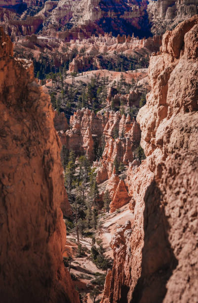 istock Bryce Canyon, montage et paysage 1436075717