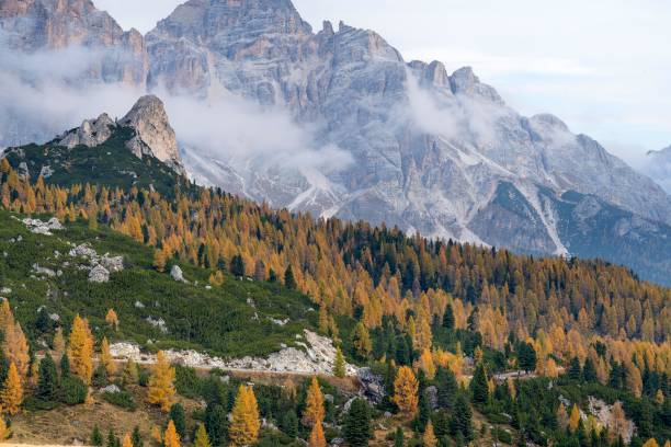istock Cortina d'Ampezzo Giau Pass Autumn 1436075839