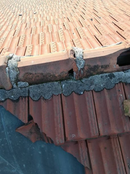 istock damaged roof tiles 1436080699