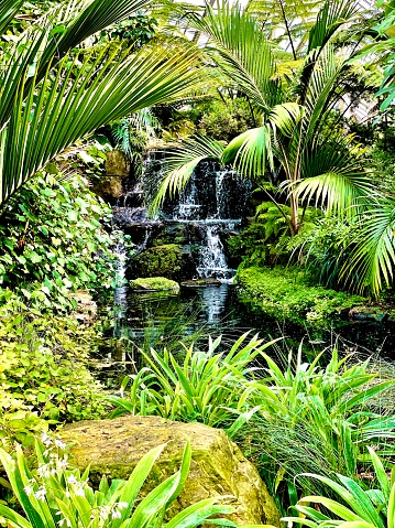 Inside Kew Gardens