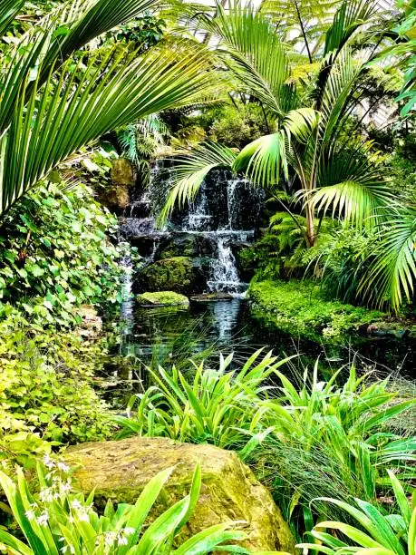 Photo of The Kew Gardens Waterfall