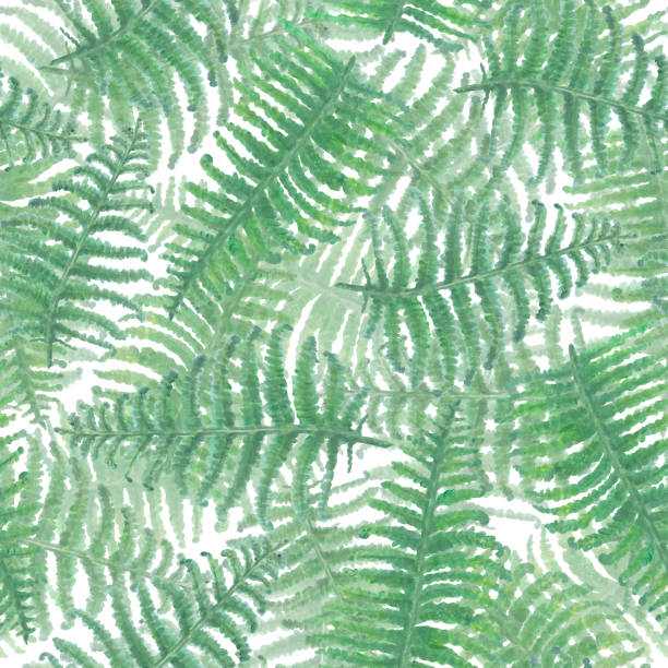 istock Seamless watercolor background with green fern branches 1436083794