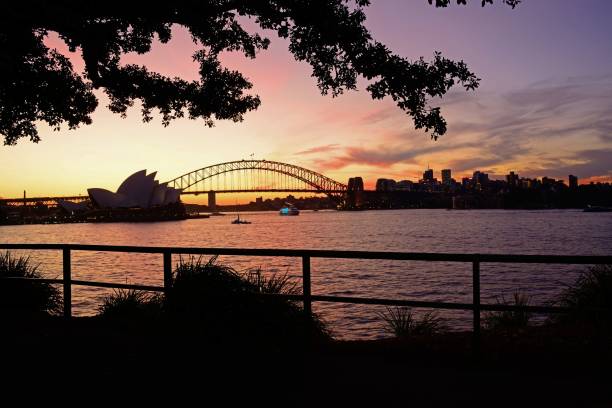 istock Famous Sydney Harbour Bridge in Australia during sunset 1436089431