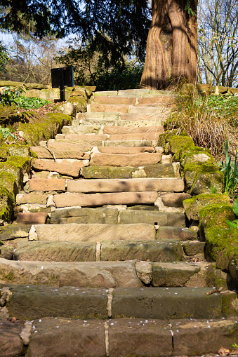 handmade in the distant past, sandstone steps leading into woodlands in the Shropshire countryside.