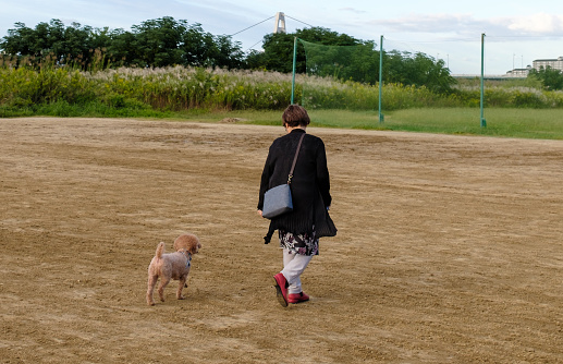 A senior woman walking with a dog outside.