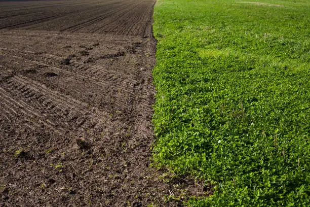 Photo of field and meadow