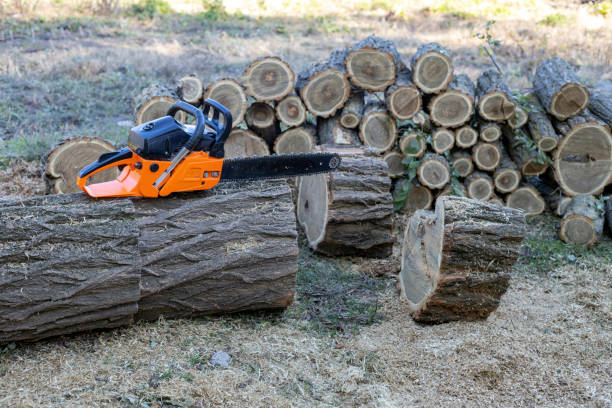istock Chainsaw on a wooden stump 1436099942