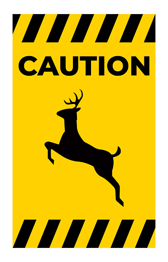 Deer Crossing Sign On White Background