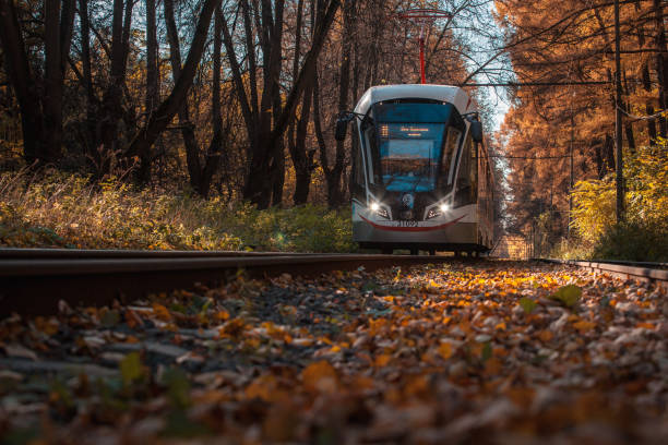 Moscow, Russia – October 06 2021: A modern tram is driving along the alley. Autumn trees are covered with yellow leaves. Fallen leaves on the ground. Sunny day. Shooting from the bottom point