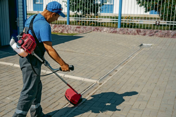 istock Janitor trims grass with trimmer on summer day on territory of production base. Man in work jumpsuit cleans paving slabs from grass. Authentic workflow. 1436103118