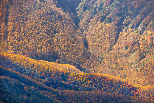 istock Mountain scenery with autumn leaves seen from Mt. Nikko-Shirane 1436103263
