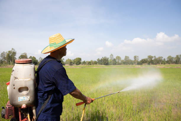 istock Farmer spraying Liquid Fertilizer 1436103325