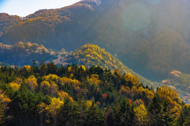 istock Mountain scenery with colored leaves around Mt. Nikko-Shirane 1436103620