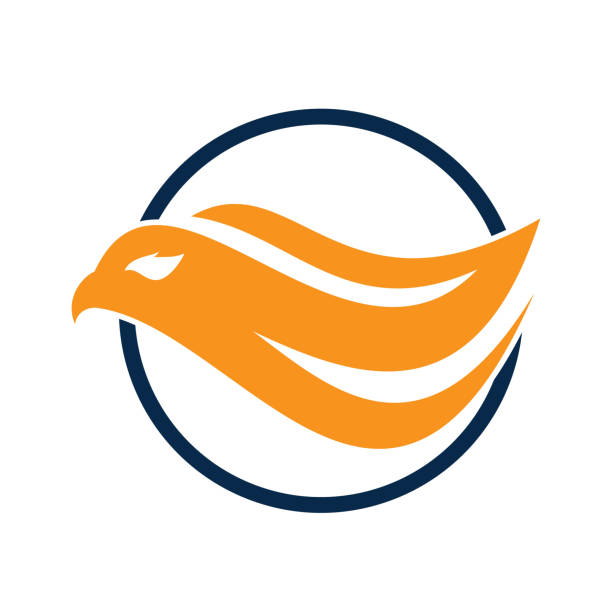 векторный дизайн логотипа eagle head. - phoenix fire tattoo bird stock illustrations