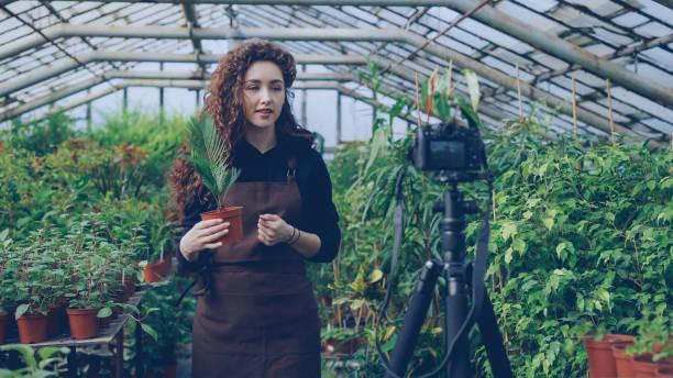 istock Professional female gardener is recording tutorial about gardening with camera standing inside spacious hothouse and holding pot plant. Farming and people concept. 1436107024