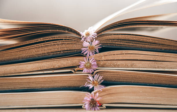 Open old books and flowers stacked, close-up, study and reading concept.