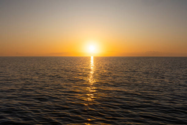 istock Golden sun setting over the calm tranquil ocean 1436118152