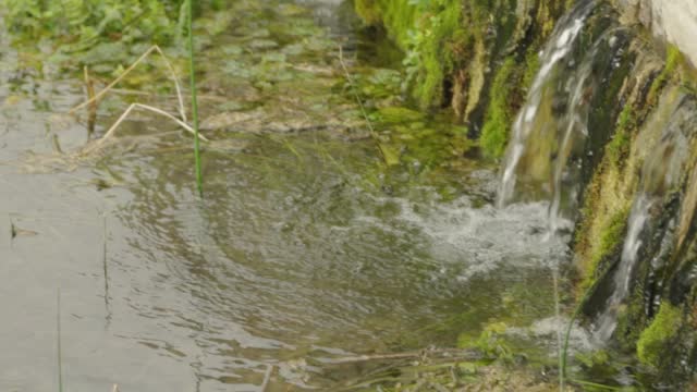 water flows from a low mossy height