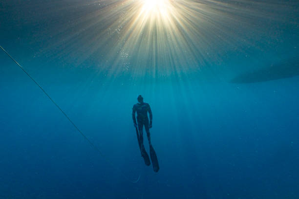istock Spear fisherman, exploring and hunting for fish in the deep blue ocean 1436118874