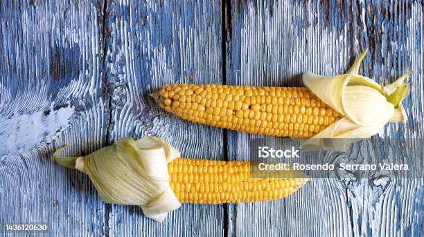 Sweet Corn On A Bluish Wooden Background Stock Photo - Download Image Now - Agricultural Field, Agriculture, Blue