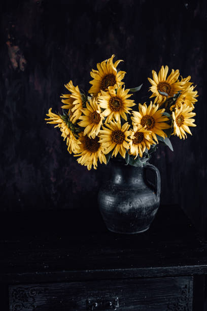 istock Still life of sunflowers on a dark baskground. 1436122425