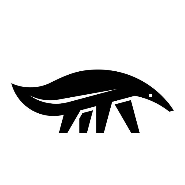 логотип муравьеда - anteater animal nose animal ant stock illustrations