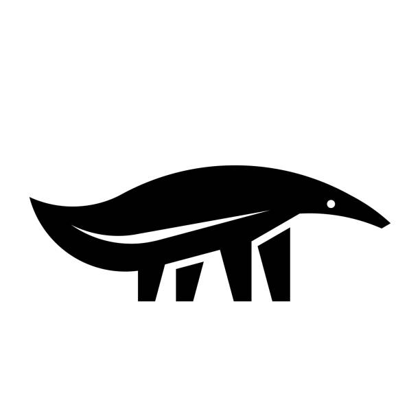 логотип муравьеда - anteater animal nose animal ant stock illustrations