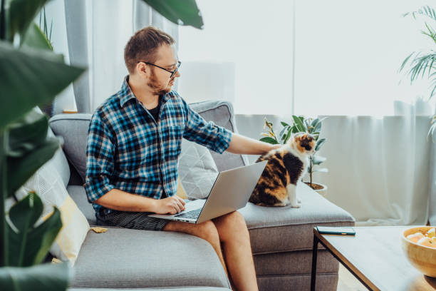 istock Man working on laptop while sitting on gray couch with relaxed cat pet. Cozy workspace in modern interior with green plants. Remote work at home. Online education or entertainment. Selective focus 1436124003