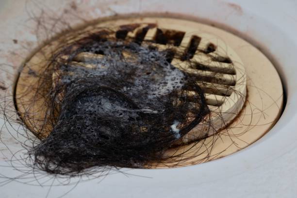istock Hair piled on top of bath drain. 1436126942