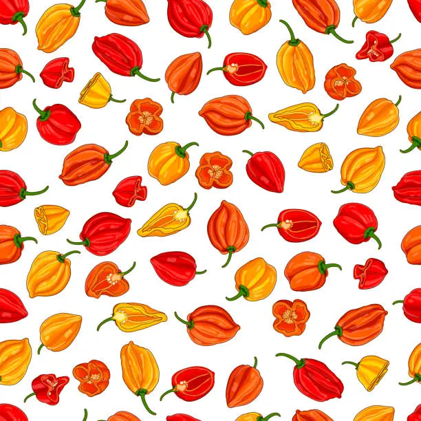 Vector illustration of Seamless pattern with whole, half, and quarter of habanero chili peppers. Yellow, red, orange habanero. Hot chili pepper. Vegetables. Vector illustration isolated on white background. Cartoon style.